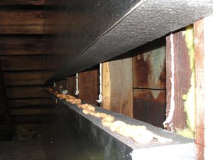 An effective attic insulation system in a Port Jervis home